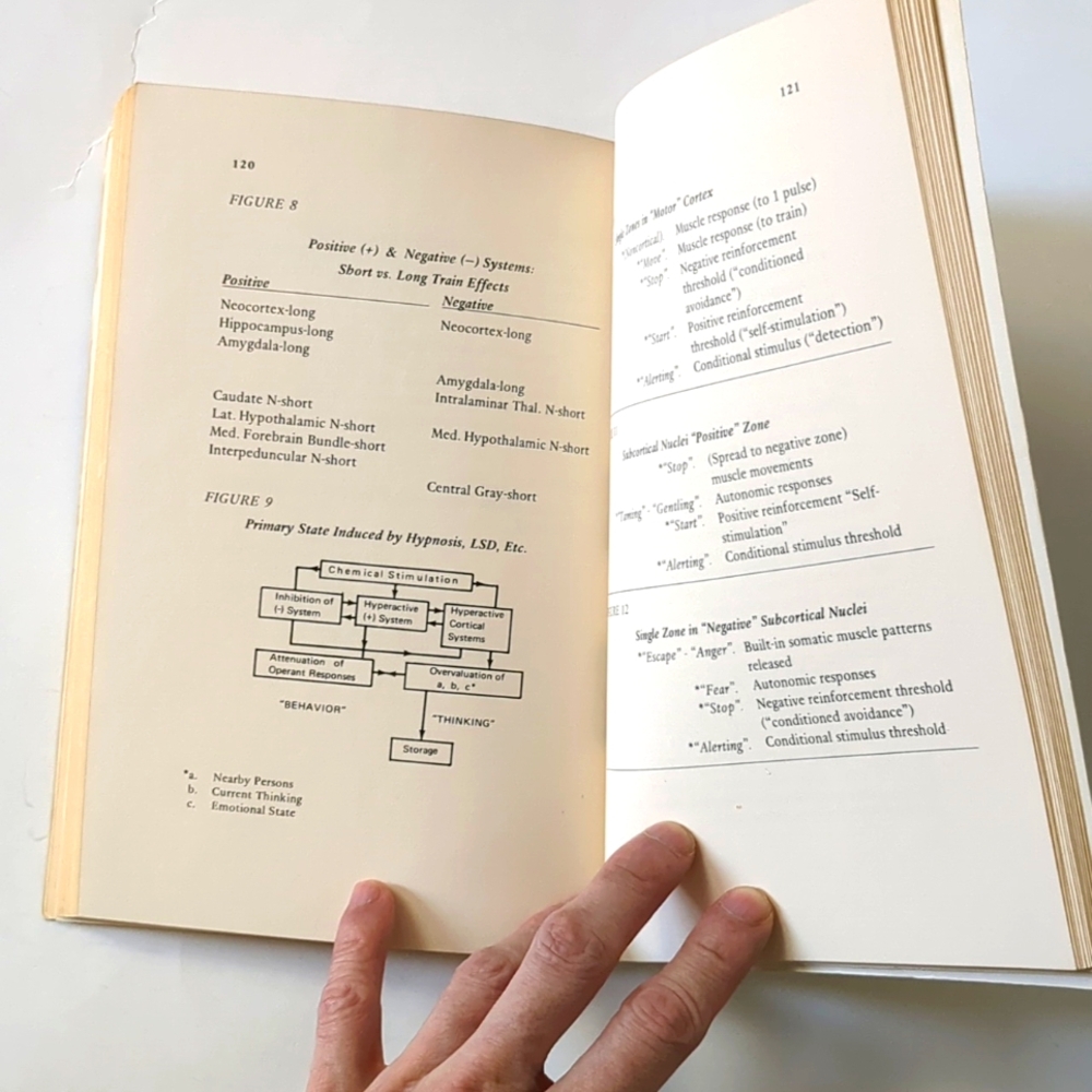 Programming and Metaprogramming in the Human Biocomputer - 1972 - Picture 8 of 11